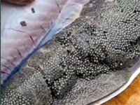 Осетр с икрой в пятницу!