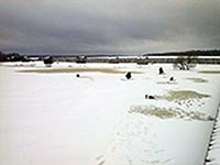 Зарыбление форелью в субботу!