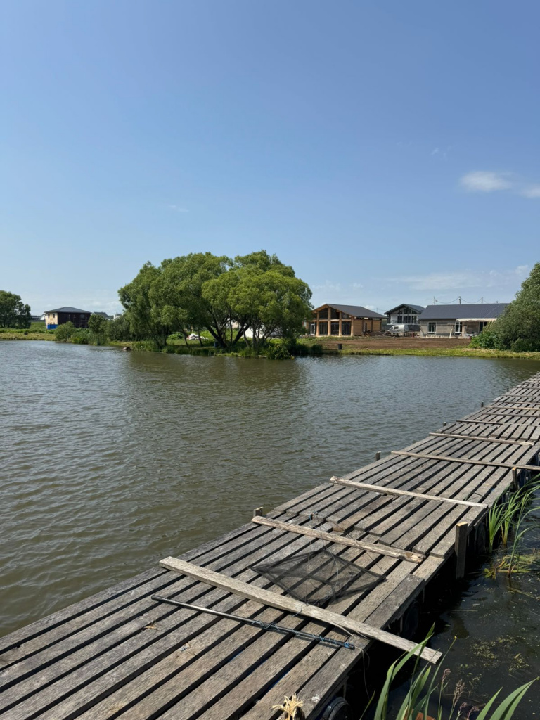 Carp 2.jpg Carp 2.jpg