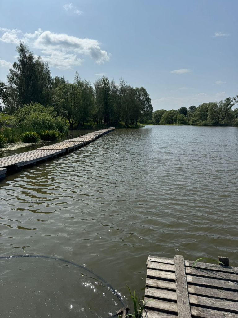 Carp 1.jpg Carp 1.jpg